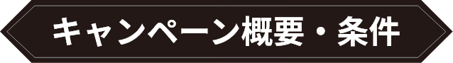 キャンペーン概要・条件